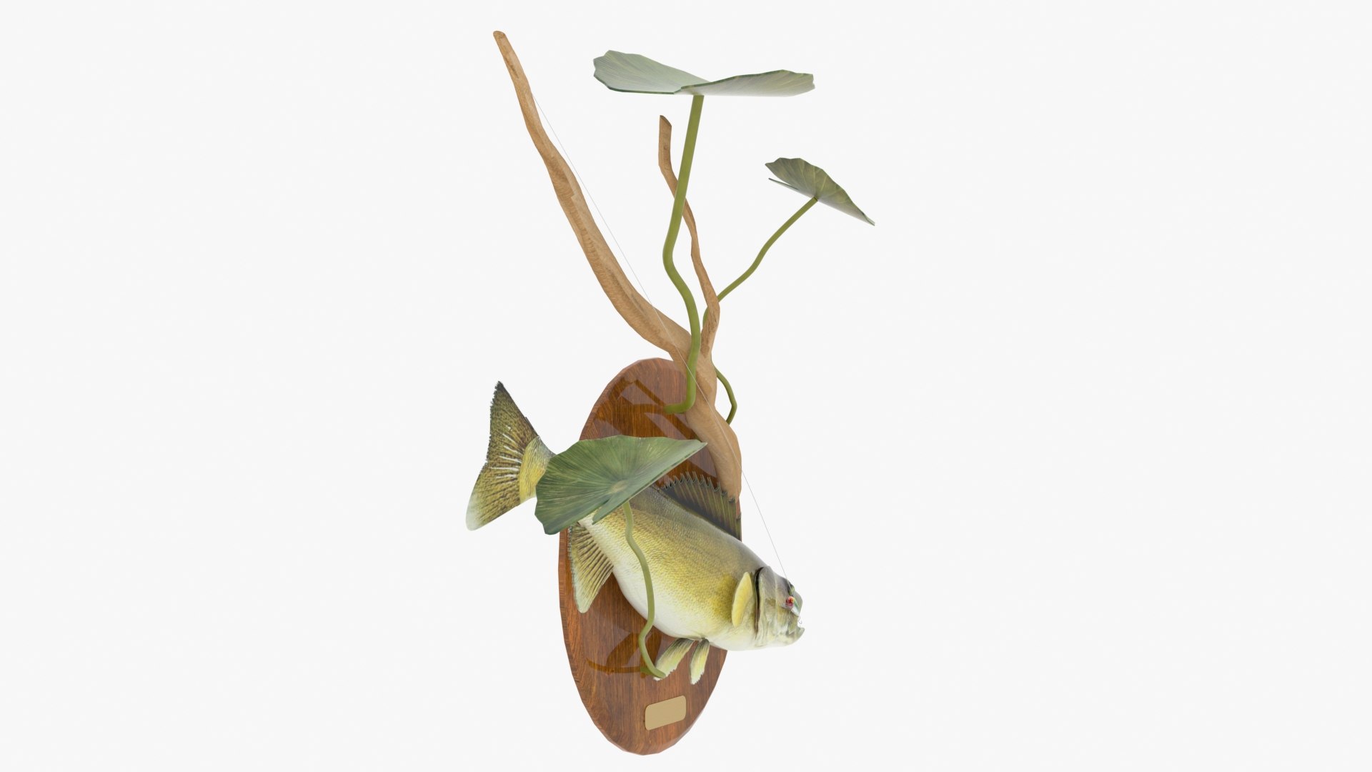 Walleye Fish Mount 3D model https://p.turbosquid.com/ts-thumb/1w/vflXSF/qV/walleyeplaquemount_03/jpg/1638256861/1920x1080/fit_q87/0ef2b9a4b35ff8aaf4c55970e0041184179b4ae7/walleyeplaquemount_03.jpg