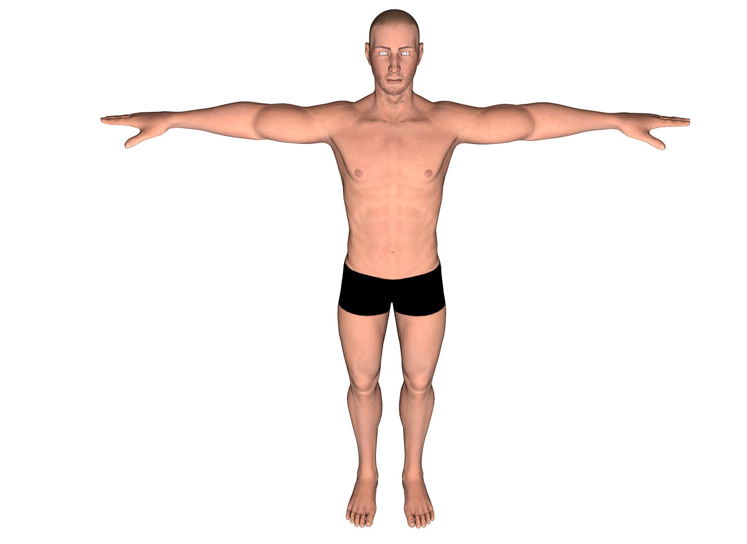 3d man human male model