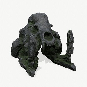 3D skull  Rock