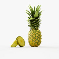 Pineapple Ananas Comosus