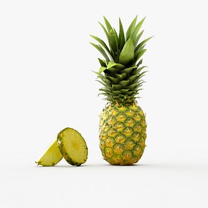 Pineapple Ananas Comosus