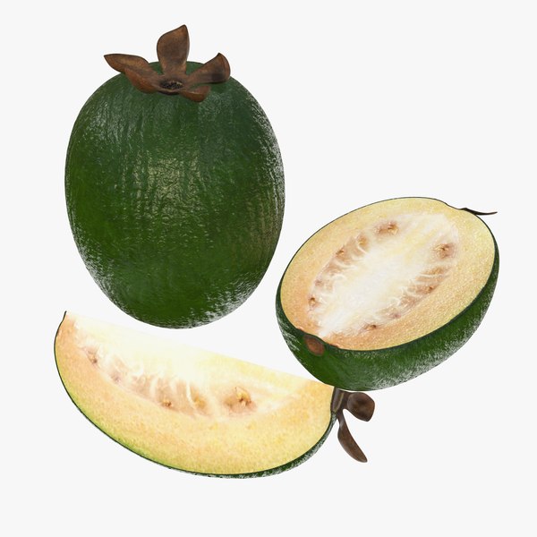 Feijoa tropical slice model - TurboSquid 1422616