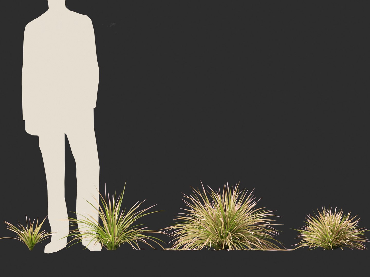 3D model Deschampsia cespitosa Northern Lights - Tufted Hair Grass 01 https://p.turbosquid.com/ts-thumb/1x/D2X9CP/eg/deschampsiacespitosanorthernlights014/jpg/1692506625/1920x1080/fit_q87/1b8a92fb8c0556a782e5f91cded3b9e8b88df087/deschampsiacespitosanorthernlights014.jpg
