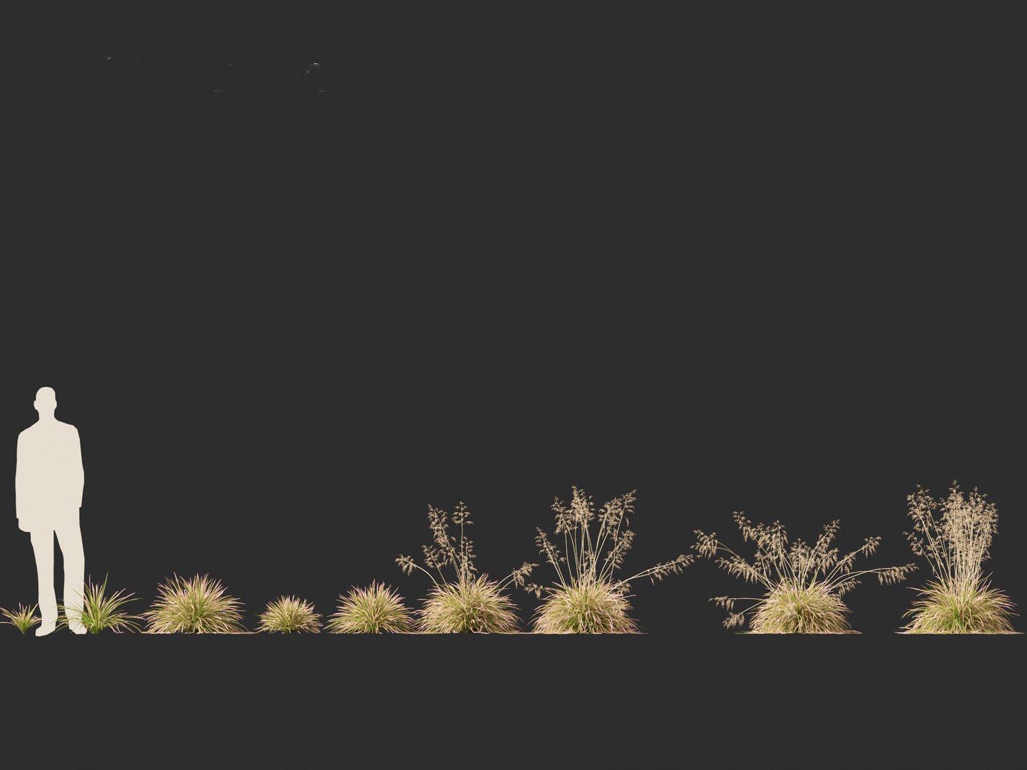 3D model Deschampsia cespitosa Northern Lights - Tufted Hair Grass 01 https://p.turbosquid.com/ts-thumb/1x/D2X9CP/iT/deschampsiacespitosanorthernlights012/jpg/1692506617/1920x1080/fit_q87/3a1decef3f79402eb19297313535fca7a785d825/deschampsiacespitosanorthernlights012.jpg