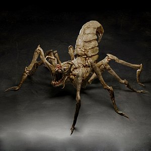 Spider creature