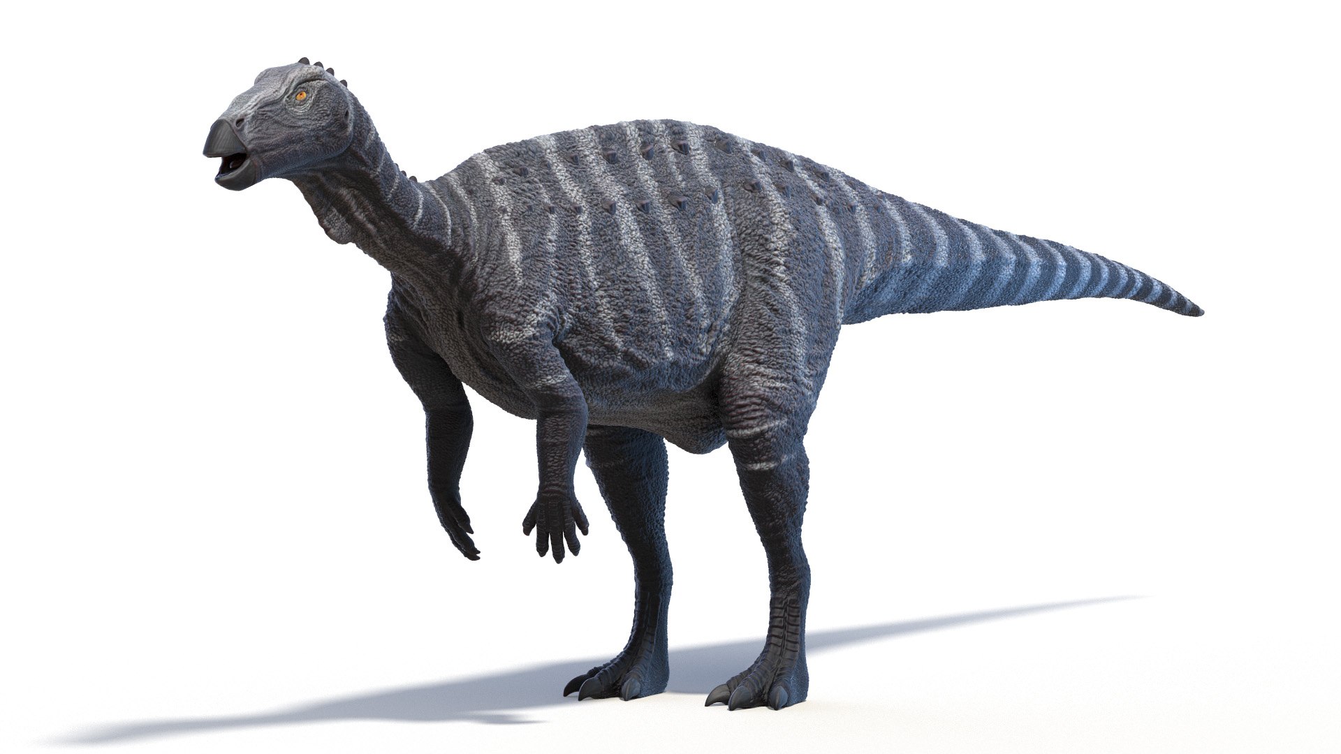 Thescelosaurus Static 3D Model - TurboSquid 1919122