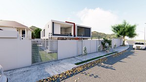 Minimalist homes