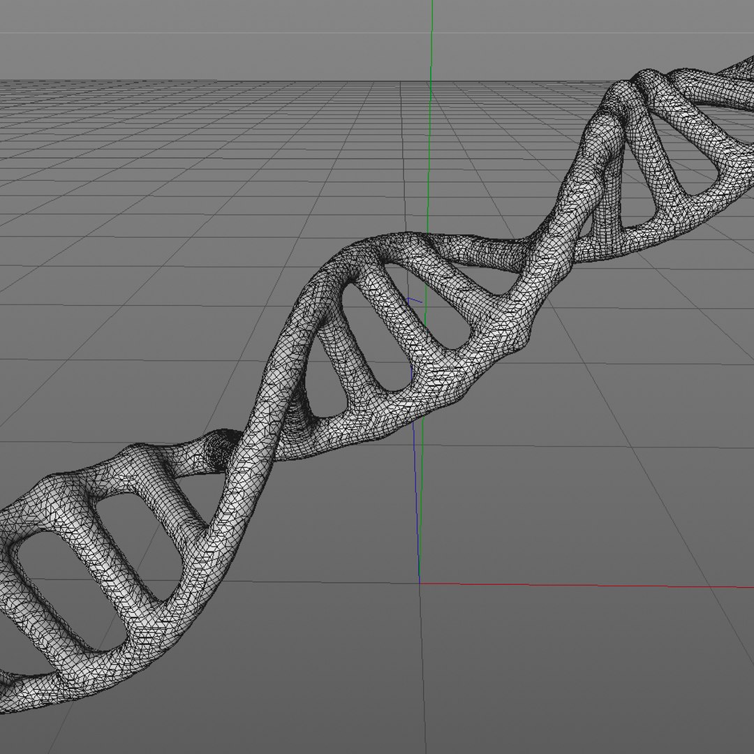 Dna Model - TurboSquid 1218314