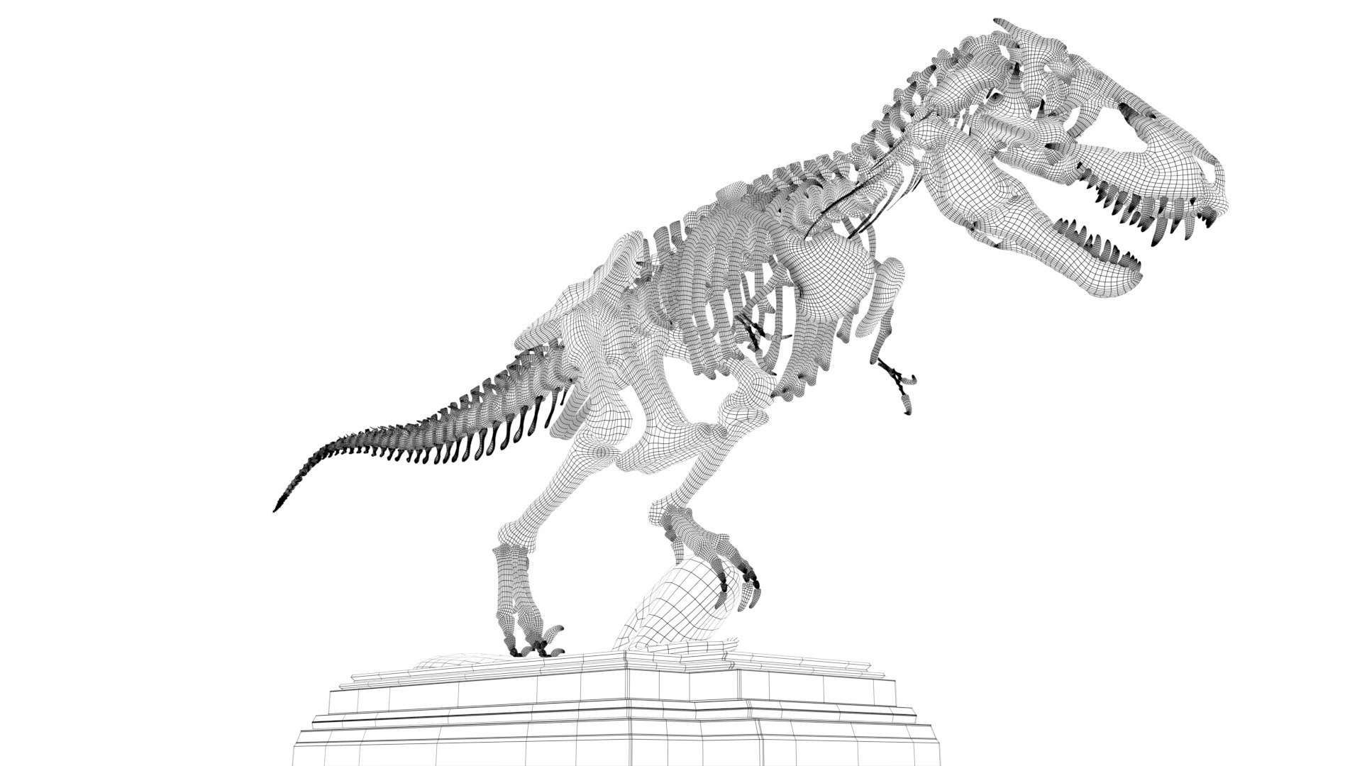 3D Tyrannosaurus Rex Skeleton - TurboSquid 1385472