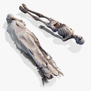 3D Human corpse cover 2