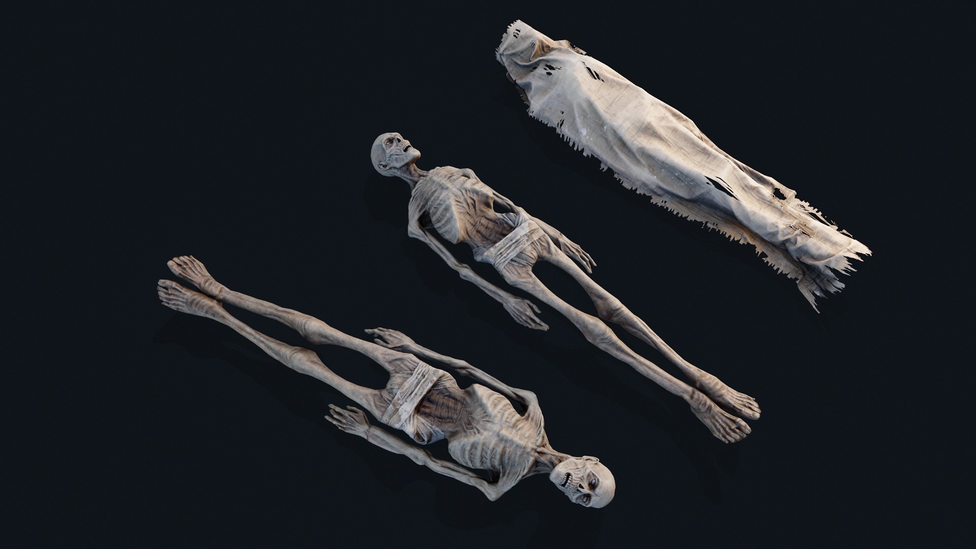 3D Human corpse cover 2 https://p.turbosquid.com/ts-thumb/1y/AMOtL3/wT/ccvr_003/jpg/1745486406/1920x1080/fit_q87/8f86b0c1f7b6f65818725dde2c5481c569282631/ccvr_003.jpg