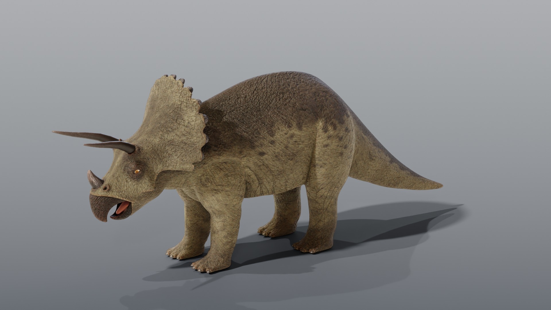 Triceratops - Static PBR model https://p.turbosquid.com/ts-thumb/1y/FmJGPS/VW/triceratopsstatic_turntable/jpg/1791927892/1920x1080/turn_fit_q99/e841e50379c18b7256c6e7f1db24db302570f9ce/triceratopsstatic_turntable-1.jpg