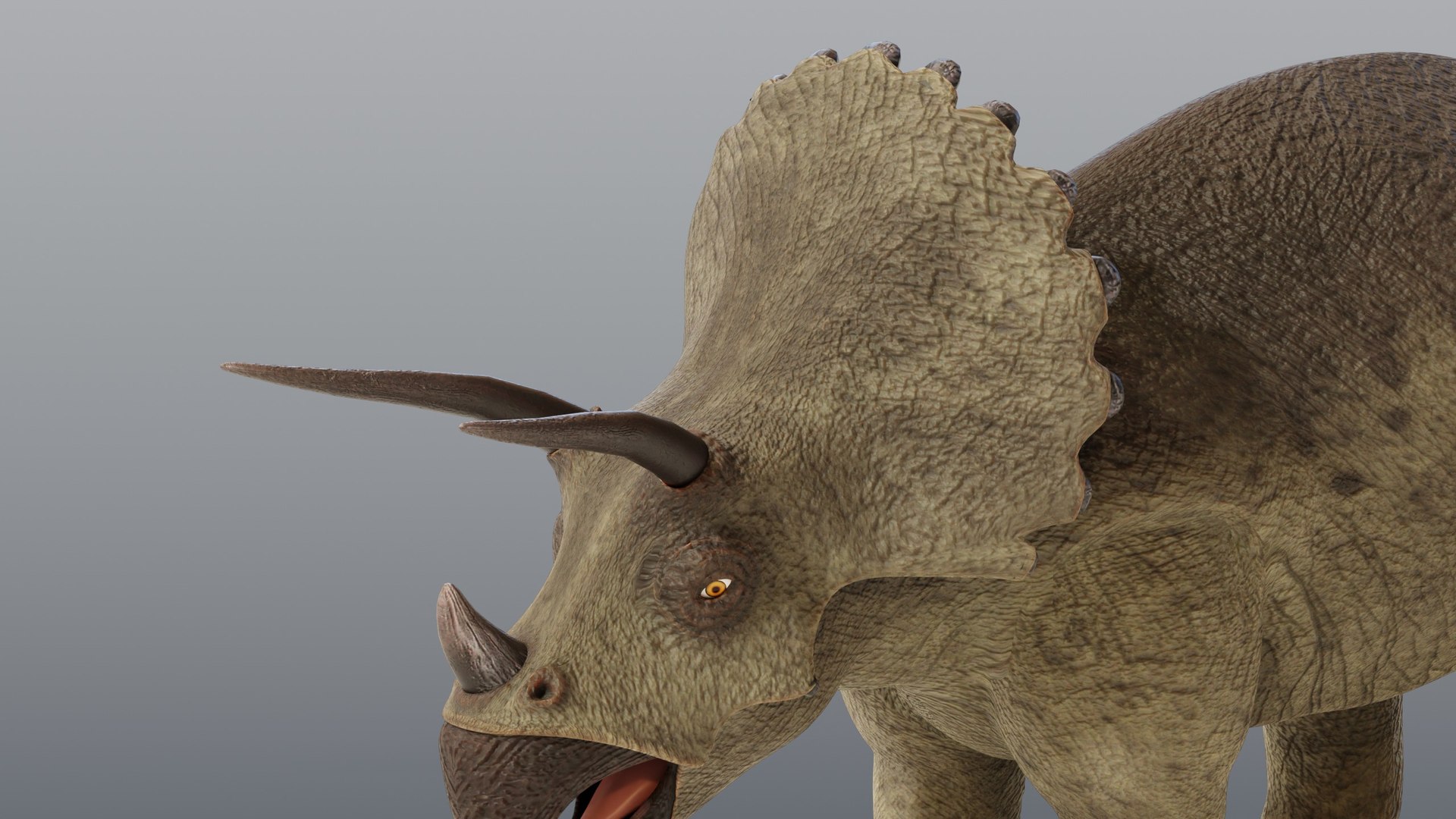 Triceratops - Static PBR model https://p.turbosquid.com/ts-thumb/1y/FmJGPS/g3/07_triceratopsstatic_07_head/jpg/1791927868/1920x1080/fit_q87/e23530998c5a7187132e9d863f22a3fcf1a2e299/07_triceratopsstatic_07_head.jpg