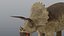 Triceratops - Static PBR