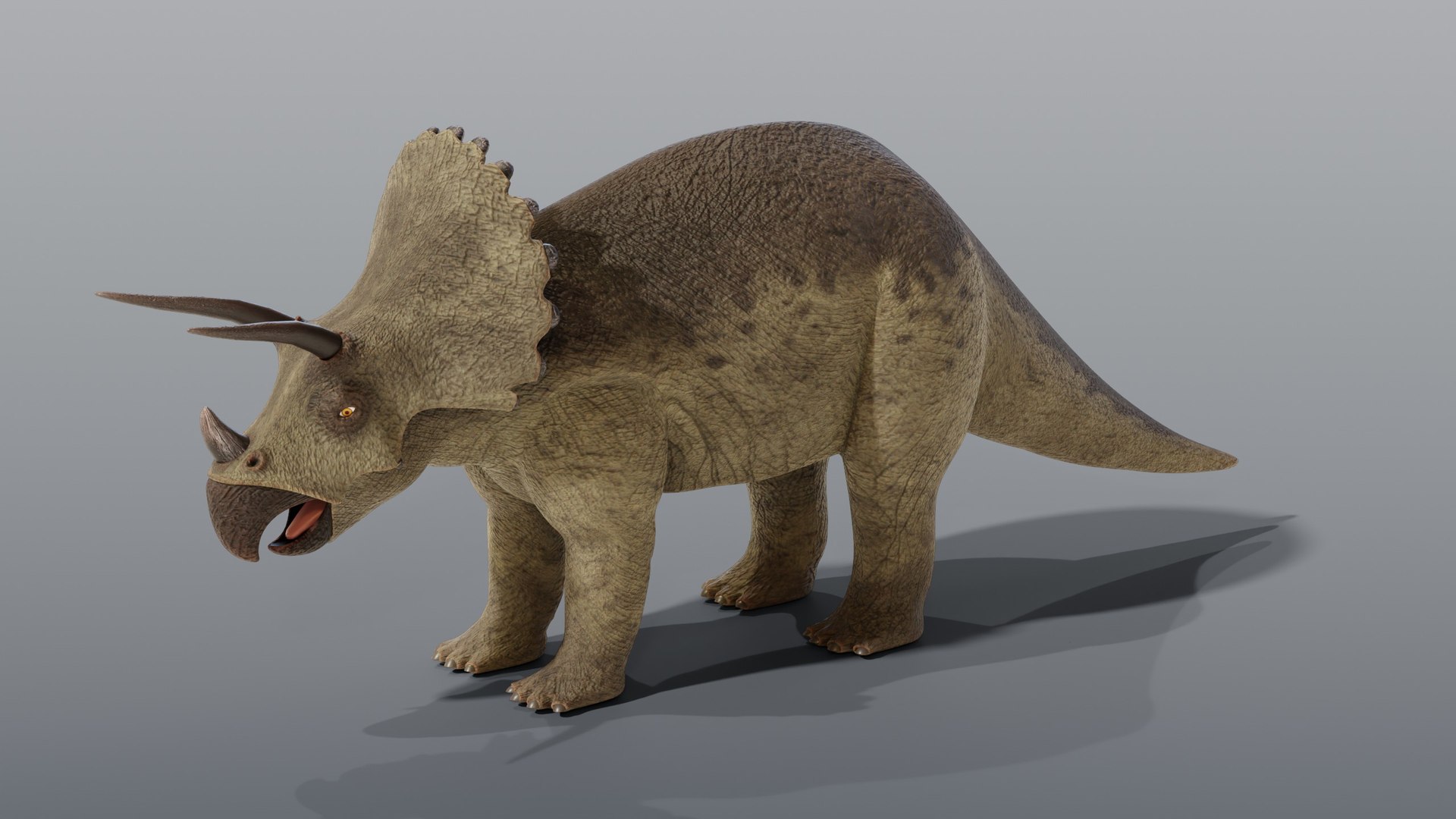 Triceratops - Static PBR model https://p.turbosquid.com/ts-thumb/1y/FmJGPS/o3/02_triceratopsstatic_02_hero/jpg/1791927843/1920x1080/fit_q87/35709d2a5dd743b8b29aa5e75db5099b483597ca/02_triceratopsstatic_02_hero.jpg