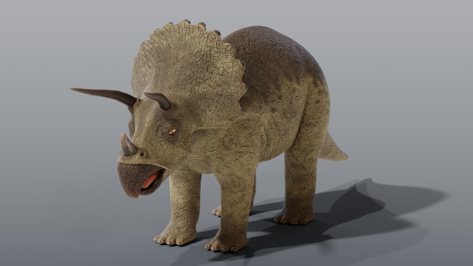 Triceratops - Static PBR model https://p.turbosquid.com/ts-thumb/1y/FmJGPS/oP/05_triceratopsstatic_05_front/jpg/1791927860/1920x1080/fit_q87/38cf1038f7ff026f1af7c76c58160cdb5fe67718/05_triceratopsstatic_05_front.jpg
