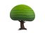 3D Cartoon Tree 007 model