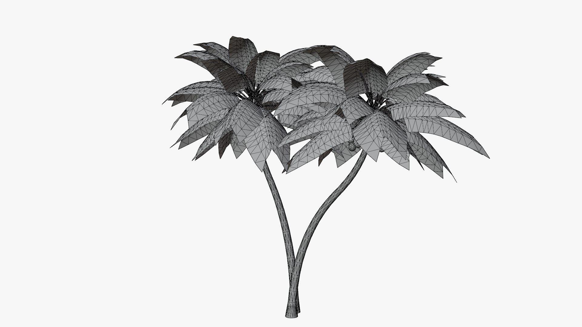 Coconut Palm v5 3D model https://p.turbosquid.com/ts-thumb/1y/PRgmoF/0P/18/png/1680030514/1920x1080/fit_q87/1d75614d8a48949d79501b95b6d5a2693a8da264/18.jpg