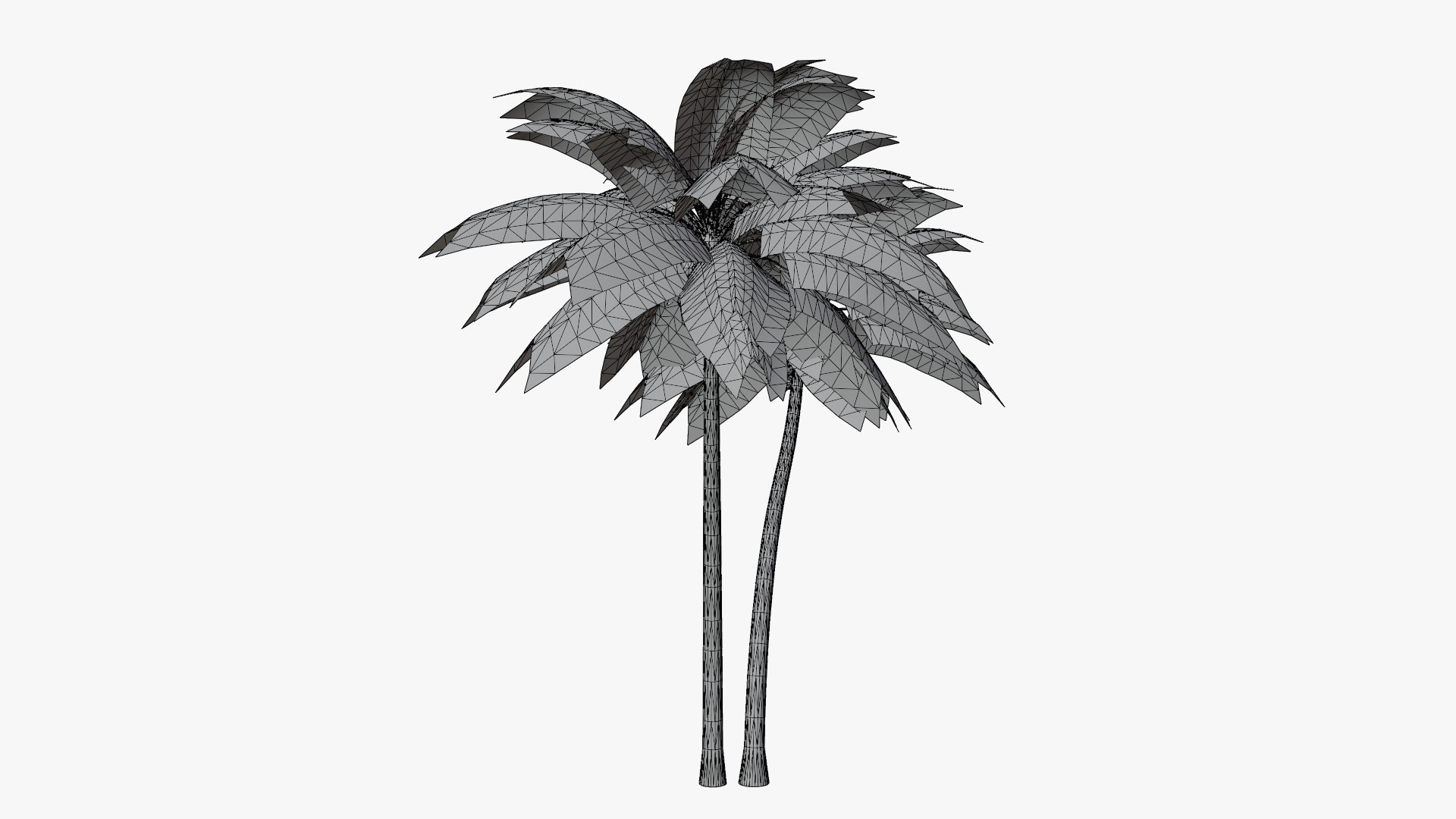 Coconut Palm v5 3D model https://p.turbosquid.com/ts-thumb/1y/PRgmoF/4P/06/png/1680030508/1920x1080/fit_q87/e439bd8e444af0d3a1c0796da2d9cb36a1fe6463/06.jpg