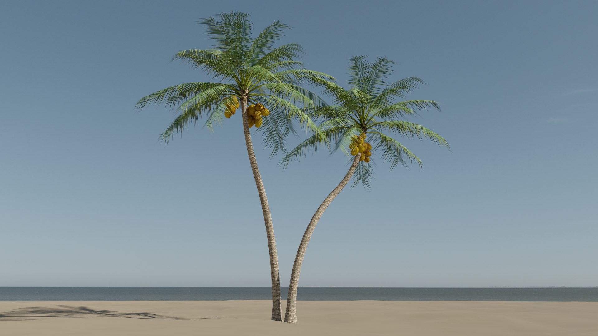 Coconut Palm v5 3D model https://p.turbosquid.com/ts-thumb/1y/PRgmoF/4i/19/png/1680030515/1920x1080/fit_q87/b48df0b2e08a69a80ee12c11d93c152dd99832c0/19.jpg