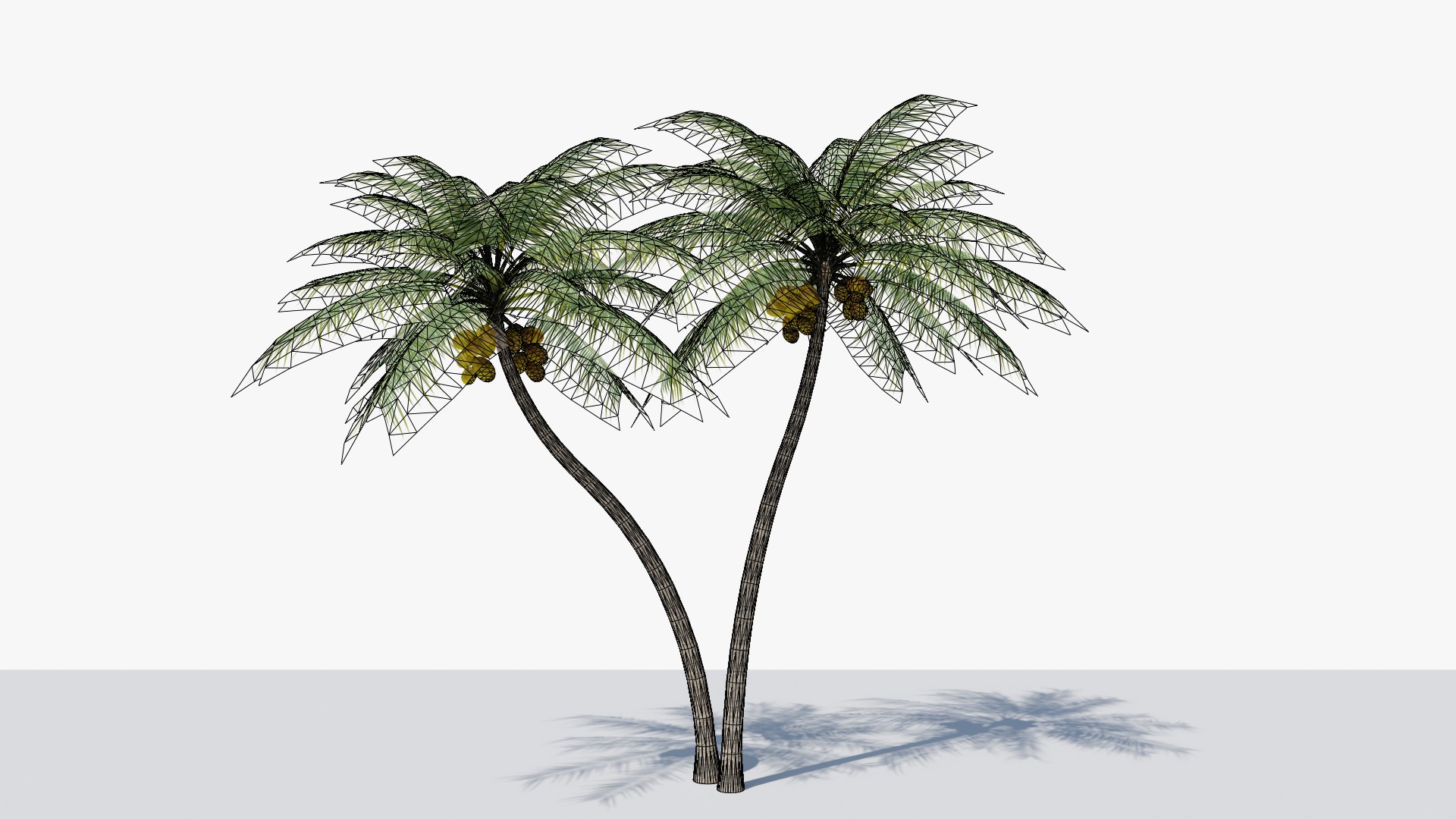 Coconut Palm v5 3D model https://p.turbosquid.com/ts-thumb/1y/PRgmoF/5H/11/png/1680030511/1920x1080/fit_q87/0d0950aebc2299c47537cdb3585fd28d8f938eeb/11.jpg