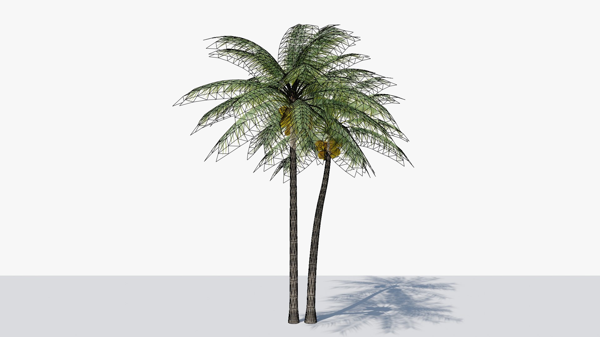 Coconut Palm v5 3D model https://p.turbosquid.com/ts-thumb/1y/PRgmoF/EI/05/png/1680030508/1920x1080/fit_q87/b7fbff6f61d0545cd3c54ccec2ef988e426c4287/05.jpg