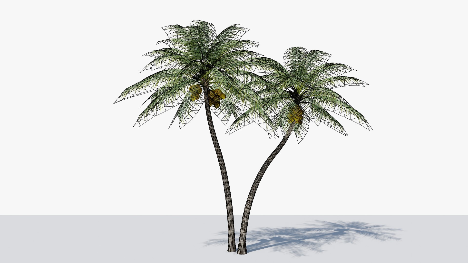 Coconut Palm v5 3D model https://p.turbosquid.com/ts-thumb/1y/PRgmoF/dt/02/png/1680030507/1920x1080/fit_q87/d924c51b463668e44e6d9e151a161e50cacc9997/02.jpg