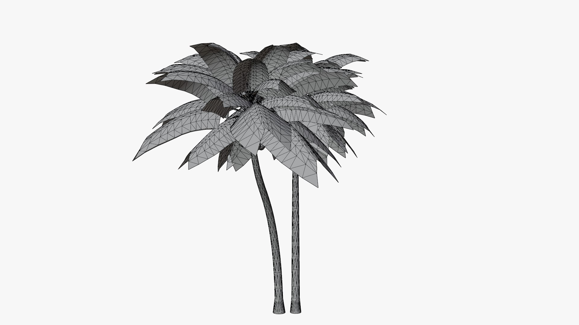 Coconut Palm v5 3D model https://p.turbosquid.com/ts-thumb/1y/PRgmoF/m1/15/png/1680030513/1920x1080/fit_q87/bf536e17bc3cbe92cb67f284a885e2536bac6ca8/15.jpg
