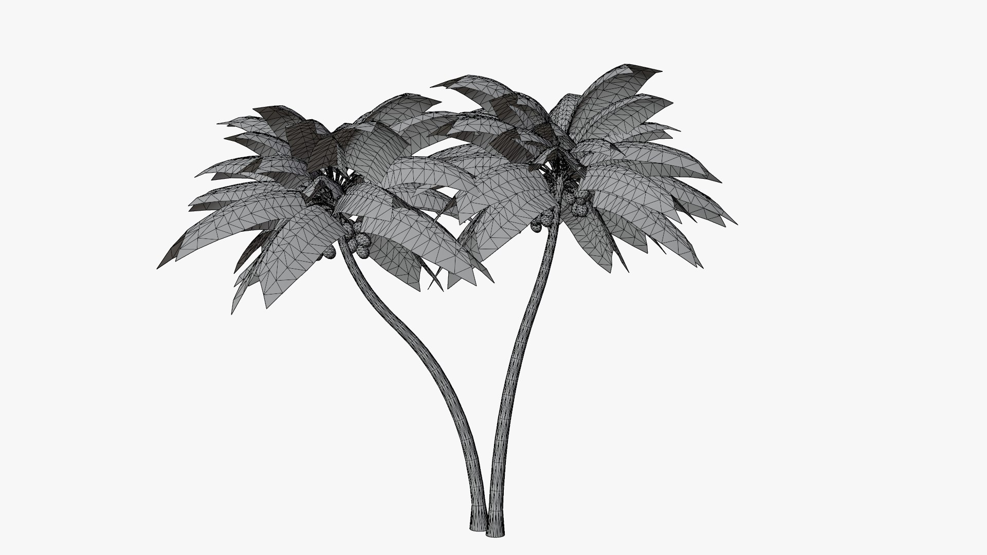 Coconut Palm v5 3D model https://p.turbosquid.com/ts-thumb/1y/PRgmoF/zb/12/png/1680030511/1920x1080/fit_q87/34ed5e937a740ce6c0f8a440c747ef76c6178cdb/12.jpg