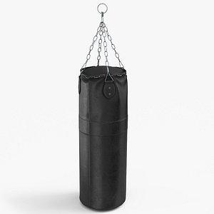 3D Realistic Punching Bag