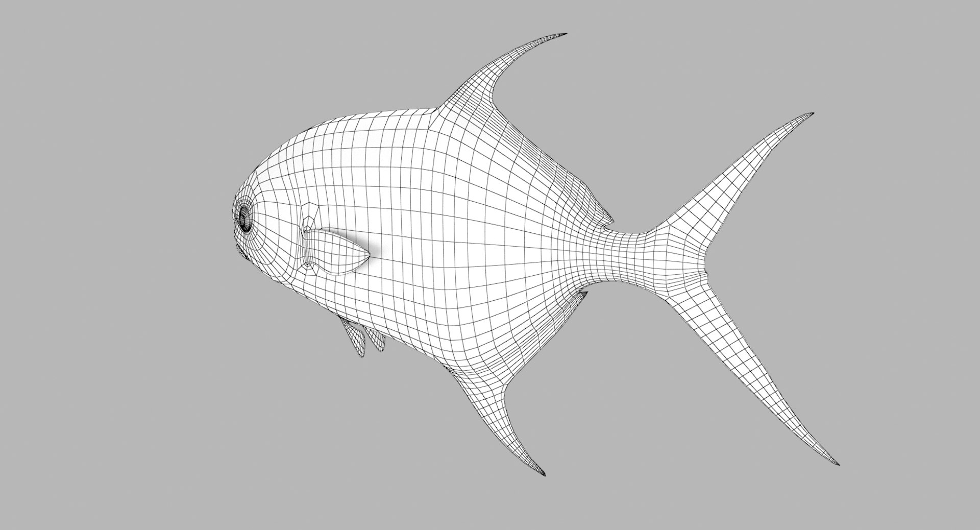 3D Permit Fish - TurboSquid 1282782