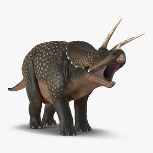 3d model triceratops pose 2