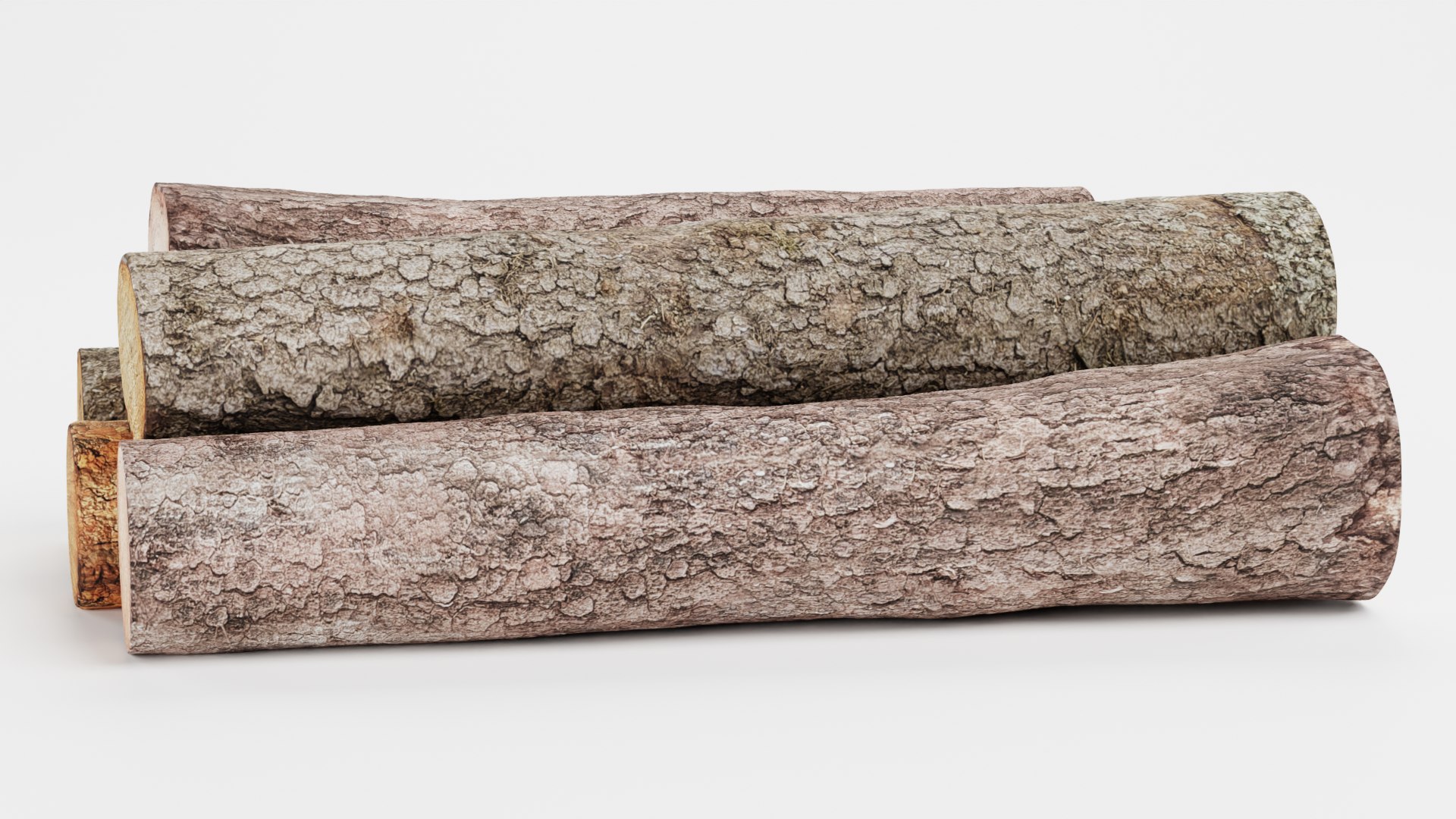 3D Model Tree Logs 1 - TurboSquid 1875475