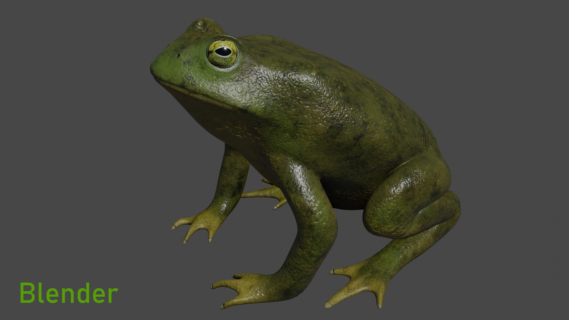 color 3D model https://p.turbosquid.com/ts-thumb/1y/k8LWGe/8g/b/jpg/1616533438/1920x1080/fit_q87/bc202c3ccf95f37a12331fe360cf6461bd478006/b.jpg