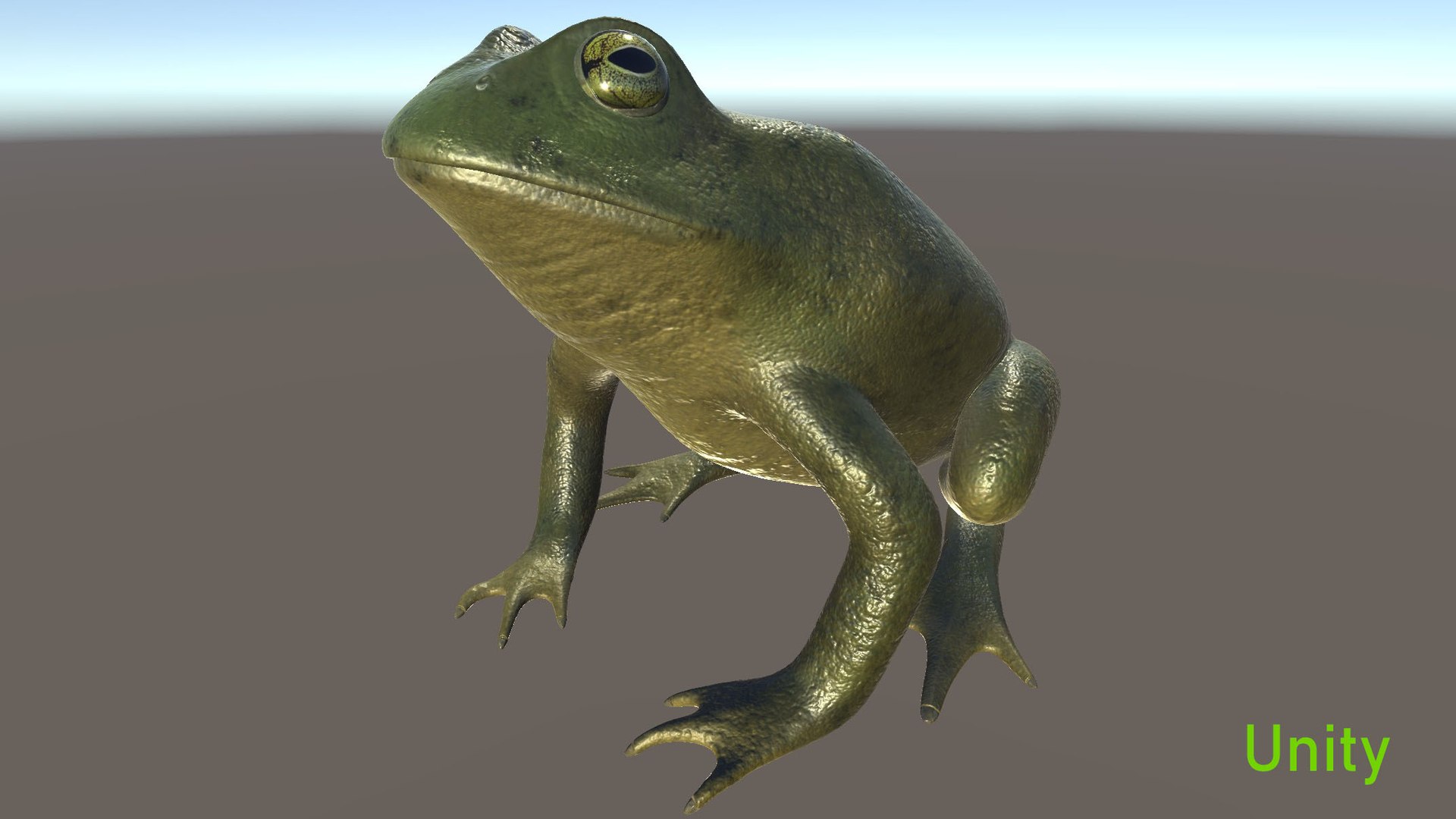 color 3D model https://p.turbosquid.com/ts-thumb/1y/k8LWGe/Kw/unity_1/jpg/1616533474/1920x1080/fit_q87/a3db4beadf65a3a0bab51278142a9ff5f68511c8/unity_1.jpg