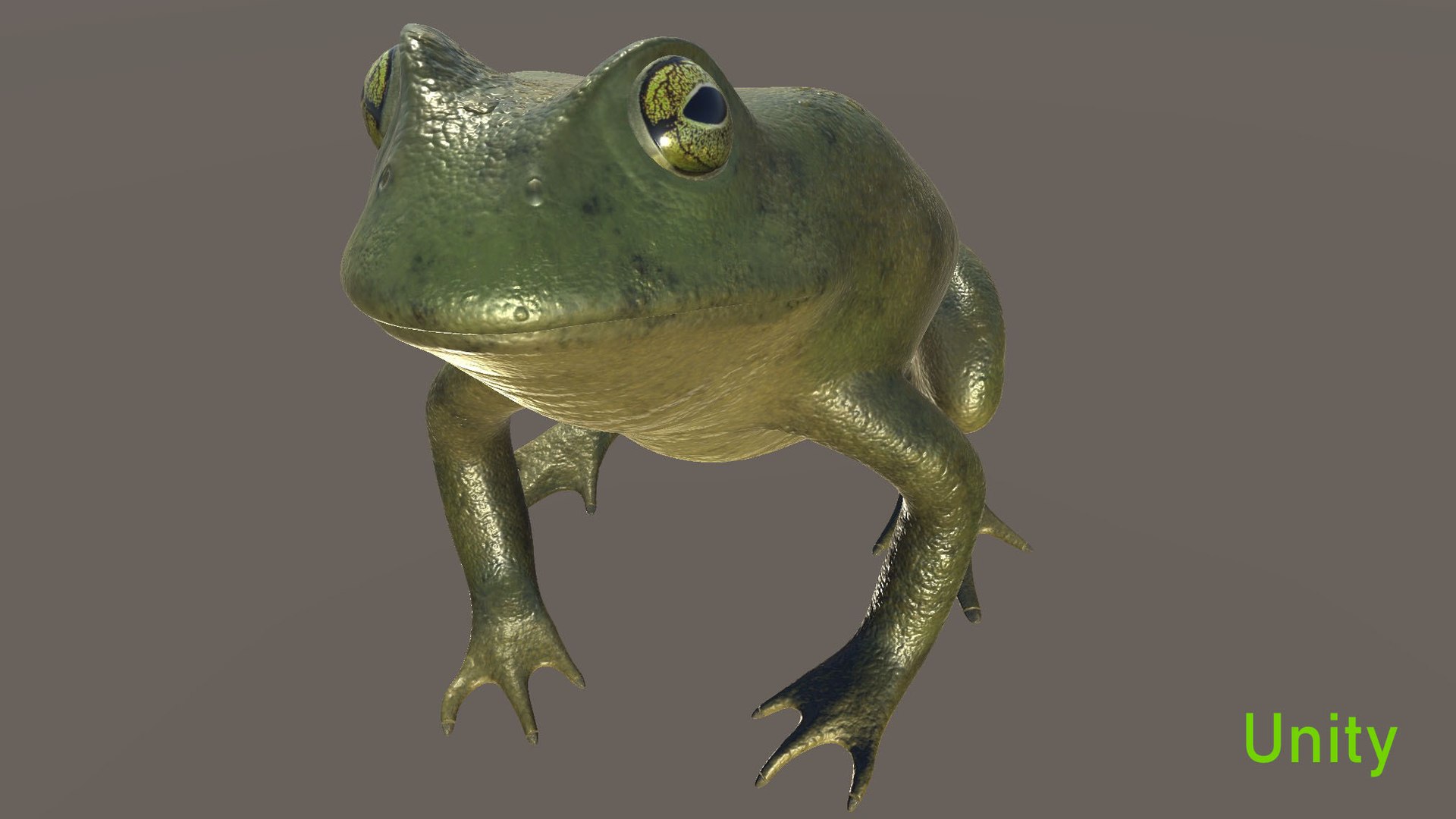 color 3D model https://p.turbosquid.com/ts-thumb/1y/k8LWGe/aq/unity_3/jpg/1616533473/1920x1080/fit_q87/e338aa8b754eb8d695c8c7b373b2240202d35b7c/unity_3.jpg
