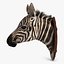 Zebra Head Trophy