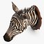 Zebra Head Trophy
