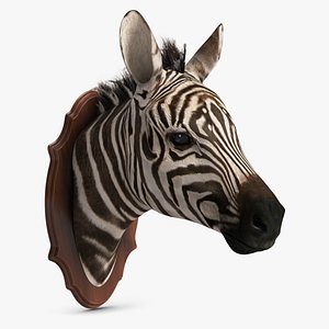 Zebra Head Trophy