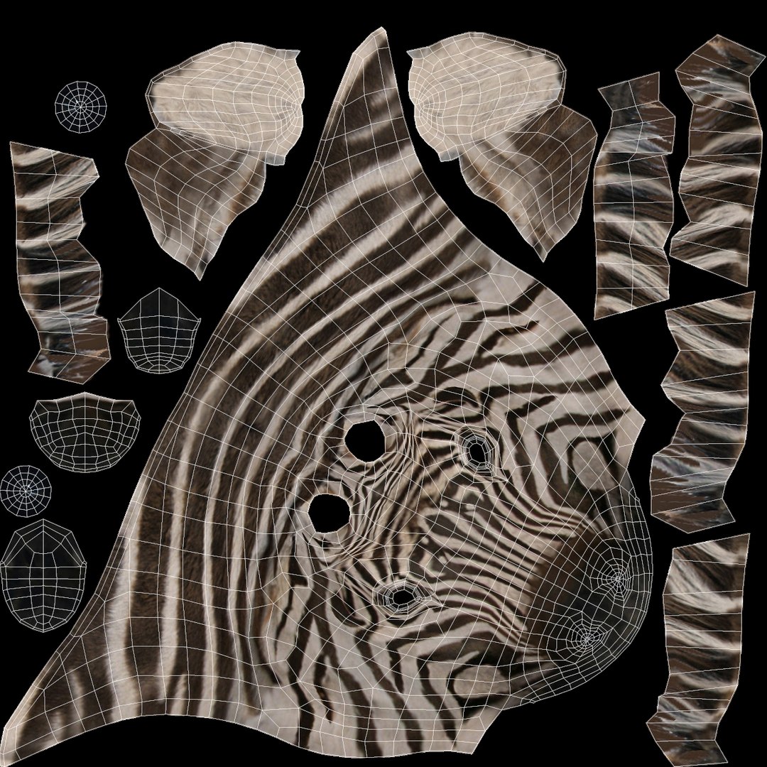 zebra head trophy 3d model https://p.turbosquid.com/ts-thumb/1y/uD5kSw/tOGgEDgA/zebrahead_uv2/jpg/1432450682/1920x1080/fit_q87/f59a74c0e34af2a8efc0670bea9cbdffbaab0054/zebrahead_uv2.jpg
