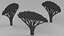 Colección de siluetas de plantas 5