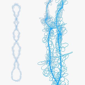 Lampbrush chromosomes model