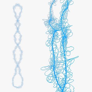Lampbrush chromosomes