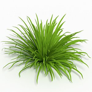 3d model grass