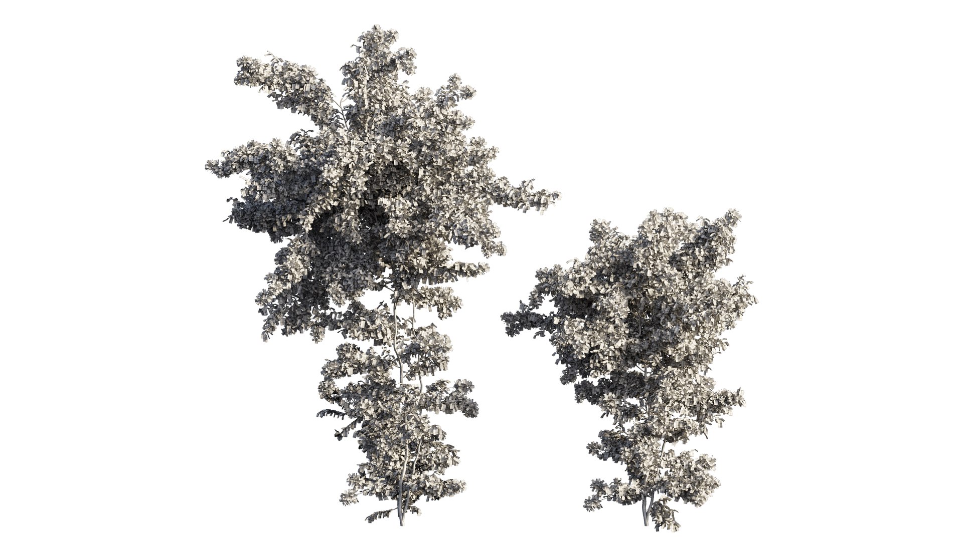3D Bougainvillea plant set 65 model https://p.turbosquid.com/ts-thumb/1z/3m74yD/5f/6_interactivelightmix/png/1675440985/1920x1080/fit_q87/6a2159044e4eb2e442fa9d1baf08180b875971ff/6_interactivelightmix.jpg