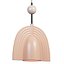 Moroshka RAL Pendant Lamp set