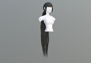 Braids Pigtail Hairstyle 3D model