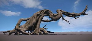 Ancient Tree V2