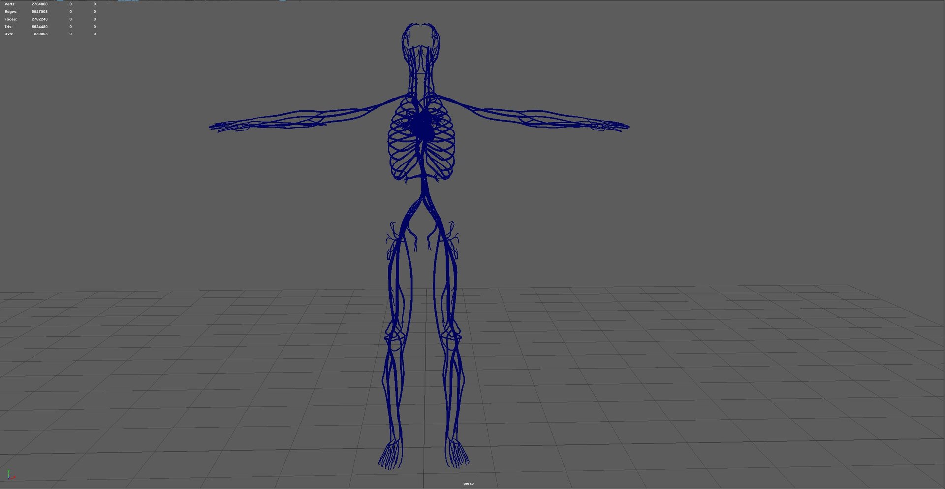 3D Circulatory System Model - TurboSquid 1834786