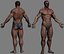 max realistic male bodybuilder human man